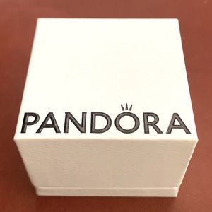 Pandora charm box